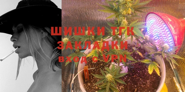 spice Белокуриха